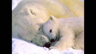 ChillWhispers #14: Brahm's Lullaby (Jewel's version cover)