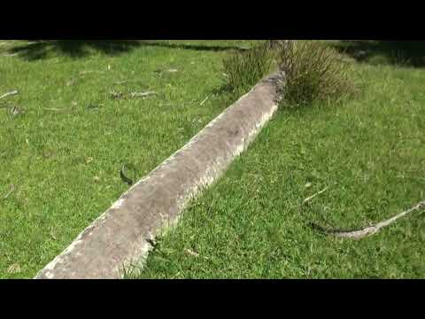 ENTRAMOS AL PALMAR DE CASTILLOS 1