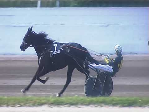 Trotto 10/05/2019 - 6ª corsa