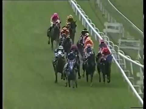 HINT (AUS) - Perak T.C. RM 55,000 1600 M CLASS 4 HCP 02 01 2010