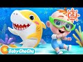 Baby Shark (Family Version) | Baby Shark Doo Doo Doo Dance + Baby ChaCha Nursery Rhymes & Kids Songs
