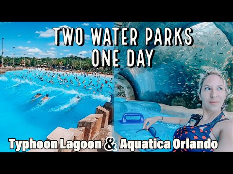 Two Water Parks in One Day | Aquatica Orlando vs. Disney's Typhoon Lagoon