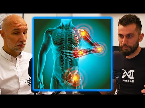 Kronična upala i količina stresa odgovorni za bolest nacije | prof. Goran Marković Human LAB Clips