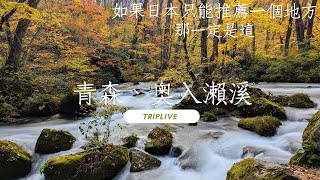 Re: [問卦] 終於懂為何有人可以忍受日本廉價商旅了！