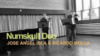 NUMSKULL DUO performs Devil's Waltz (by Steven Verhelst). JOSE ISLA & RICARDO MOLLA