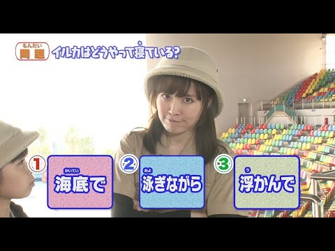 アニア探検隊　和歌山　アドベンチャーワールド（後編）