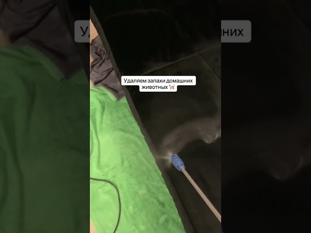 Удаляем запахи домашних животных