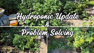 Hydroponics Update & Problems