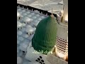 اللهم إنا نعوذ بك من جهد البلاء Mp3