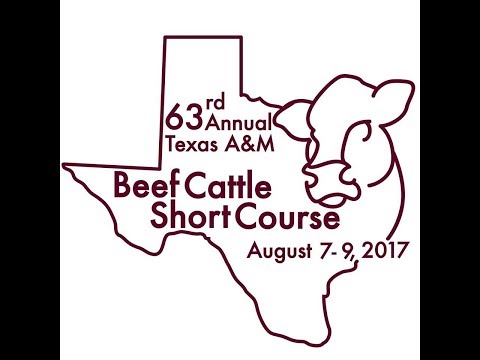 Let's Talk Cattle Episode Four: 2017 Texas A&M Beef...