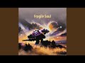 Fragile Soul