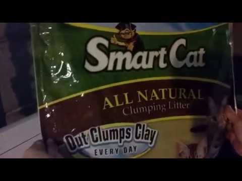 download lagu mp3 mp4 Smart Cat Grass Litter, download lagu Smart Cat Grass Litter gratis, unduh video klip Smart Cat Grass Litter