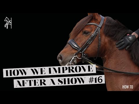 Wie wir unser Dressurreiten nach einem Turnier verbessern | Dressur-Tutorial | Begijnhoeve | Anle...