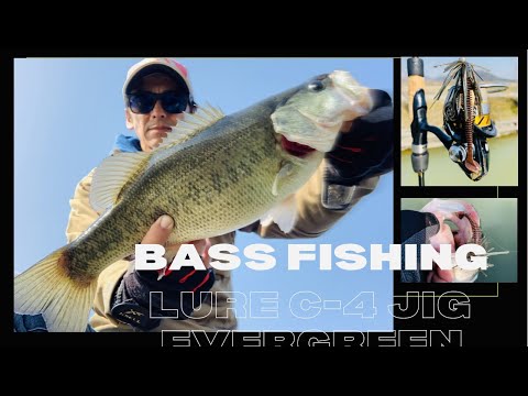 PESCARIA DE BLACK BASS ( ACHIGÃ ) - LURE C-4 JIG EVERGREEN