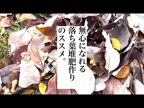 落ち葉をリサイクルするための5つのヒント！  庭園