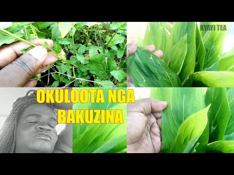 Okuloota nga Bakuzina Okuloota nga Oli Munsonga Ebilooto Ebitisa