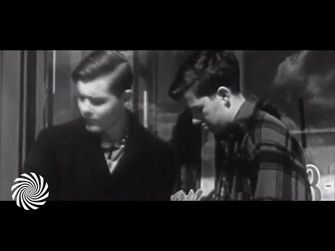 Reefer Decree & Thusgaard - Starving Artists (Radio Edit)