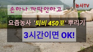 오이재배, 오이하우스에 20kg 퇴비 450포  3시간 만에 살포했습니다.[농사TV]