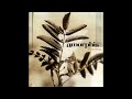 Amorphis - Shining