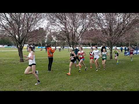 Festa del Cross - 13 febbraio 2021 rapresentativa x regioni cat cadette