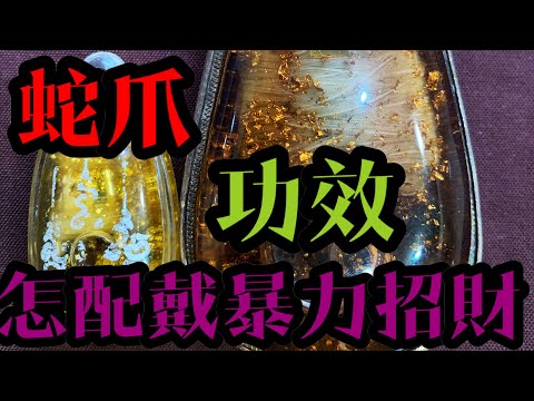 蛇招財嗎
