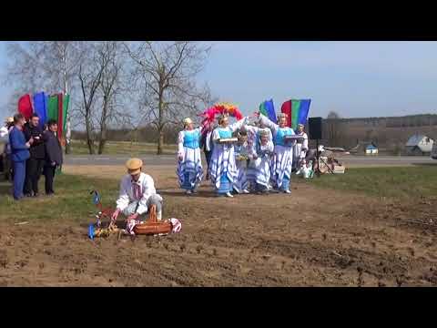 Праздник первой борозды Дрибинский район. #Дрибинский_район