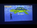 Dinosaur Train Discoveries Archelon