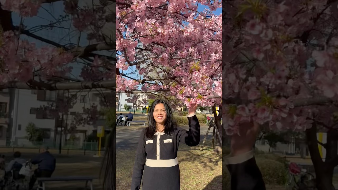 Beautiful cherry blossom 🌸 #lifeinjapan #cherryblossom #japanlife