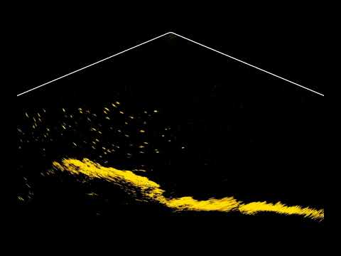 Lowrance Active Target   - Down Mode