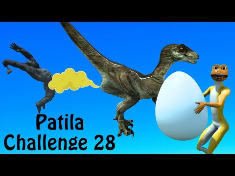 Patila Challenge 28. Patila is Helping The Raptor From Gorilla. Funny Animated Short Film of Patila.
