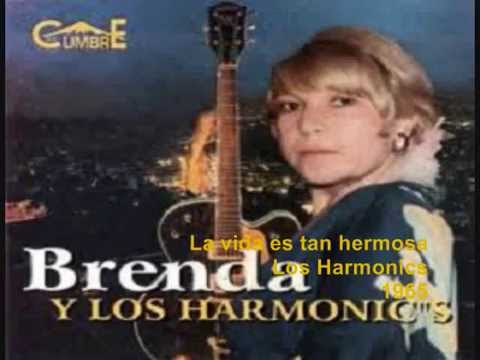 La vida es tan hermosa - Los Harmonics