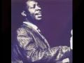 The Blues Never Die : Otis Spann