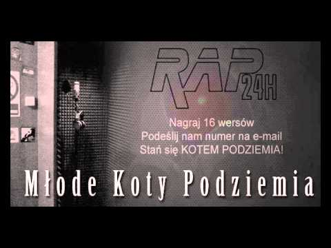 SWR Konkurs Młode Koty Podziemia