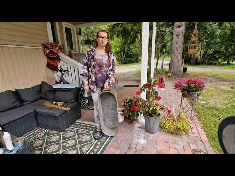 Pellavan mädätys osa1