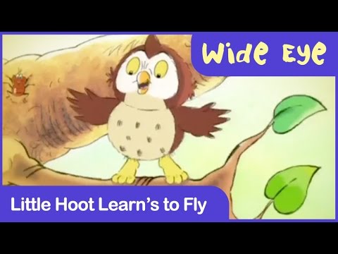 Wide Eye Little Hoot Learns To Fly