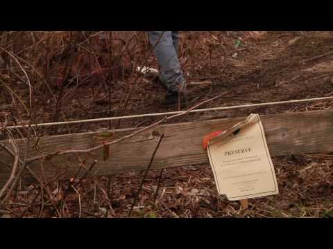 Wild & Shit with Evan Wilder 2 • The Preserve