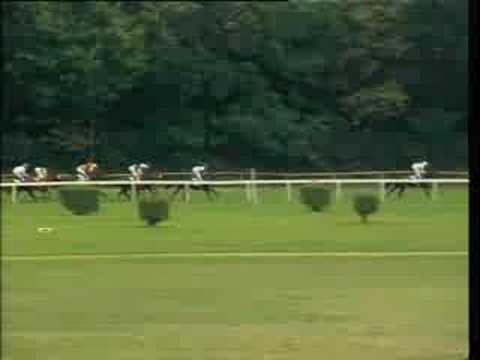 Slovenské derby 2008