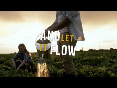 James Robert Webb - Making Love Tonight (Official Lyric Video)