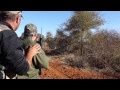 Hunting With Marvel Africa Safaris South Africa