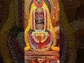 12 ज्योतिर्लिंग दर्शन 12 Shiv Jyotirling Darshan 12 Jyotirlinga Da