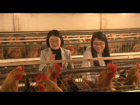 Thực trạng và giải pháp phát triển bền vững các loại hình kinh tế trang trại
