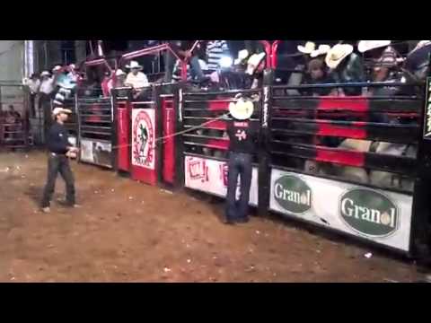 Roberley val x CALAMIDADE