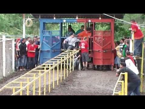 ANDADURA RUBI VS PENA 2012