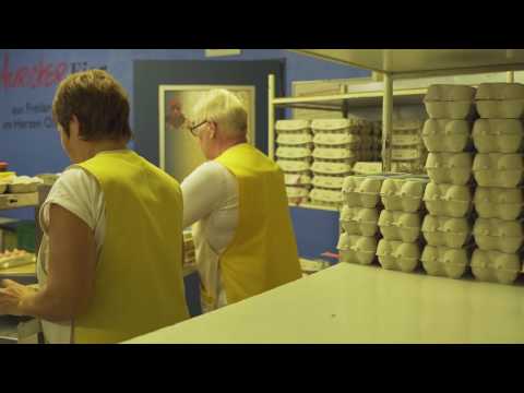 EZG Auricher Eier - Freilandeier