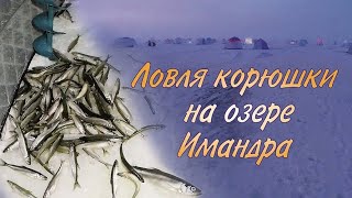 Рыбалка на озере имандра в мае 2020