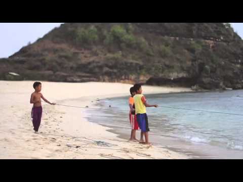 SEEK   ANTÓNIO CARDOSO