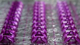 REEDS Jewelers Victorinox Watch