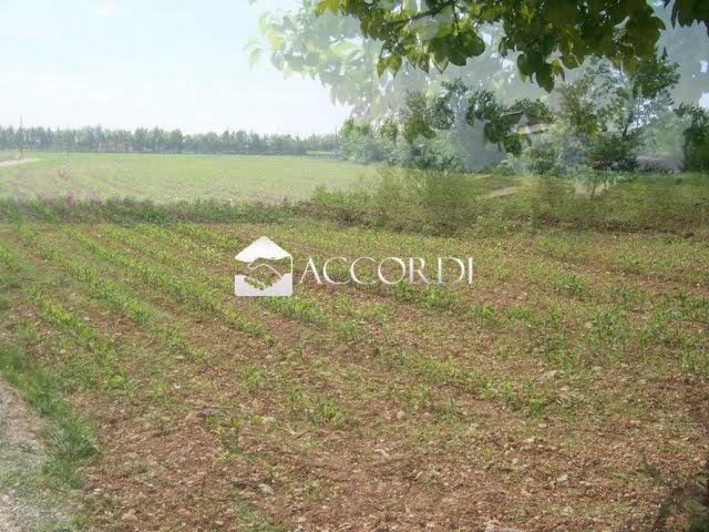 Accordi Immobiliari Rif. RT644