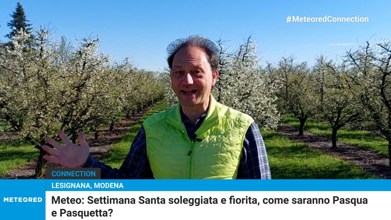 youtube video id=Wuldj0ZBV-o