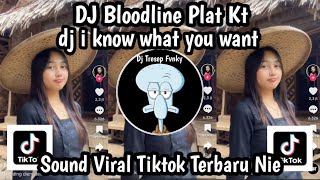 Download lagu DJ BLOODLINE PLAT KT-DJ I KNOW WHAT YOU WANT SOUND REMIX VIRAL YANG KALIAN CARI JADAG JEDUG MANGKANE mp3